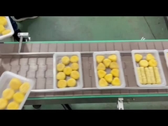 Automatische Tray-Siegelmaschine 4R mit Vakuumgasspülung