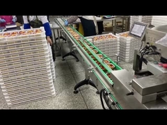 Edelstahl Automatische Lebensmittelfachfüllmaschine Versiegelungsmaschine für Fastfood-Aluminiumfoliefach