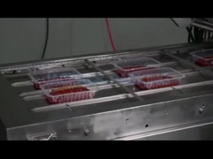 Automatische Tellerversiegelungsmaschine für Tiefkühlwaren